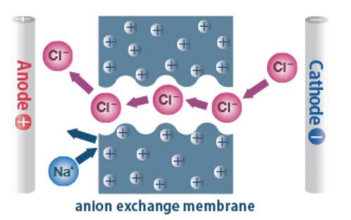 anion exchange membrane